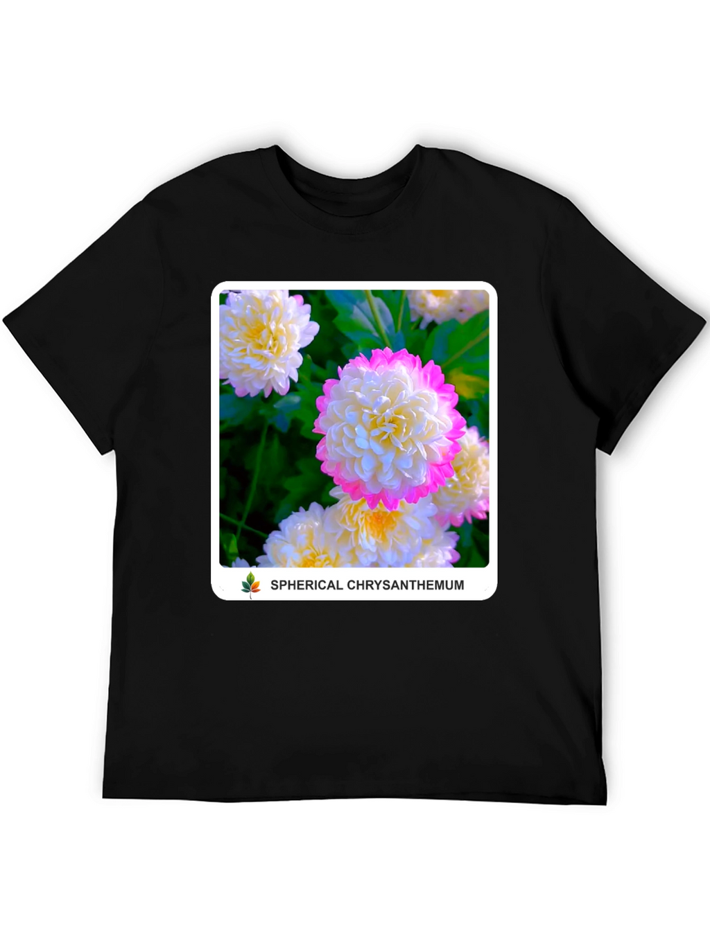 Spherical Chrysanthemum Graphic Tee