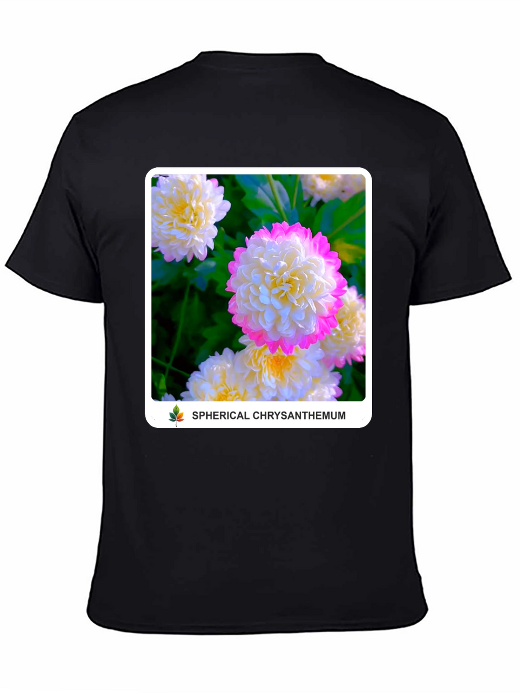 Spherical Chrysanthemum Graphic Tee