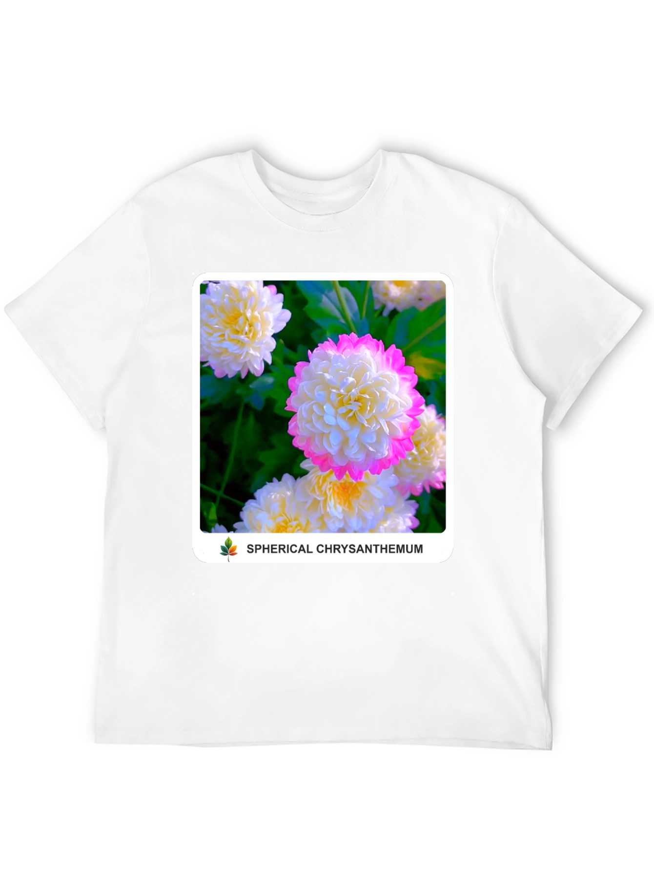 Spherical Chrysanthemum Graphic Tee