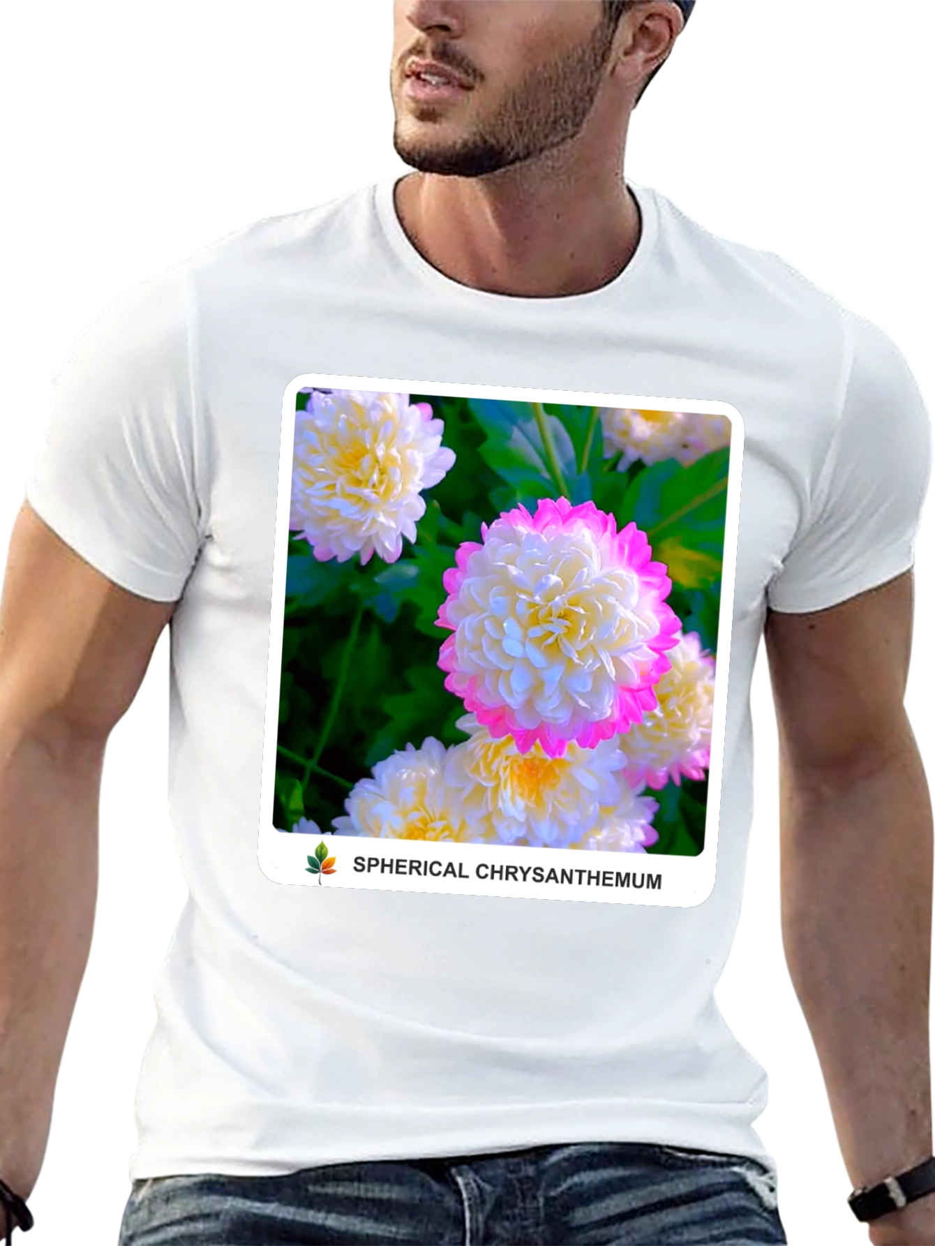 Spherical Chrysanthemum Graphic Tee