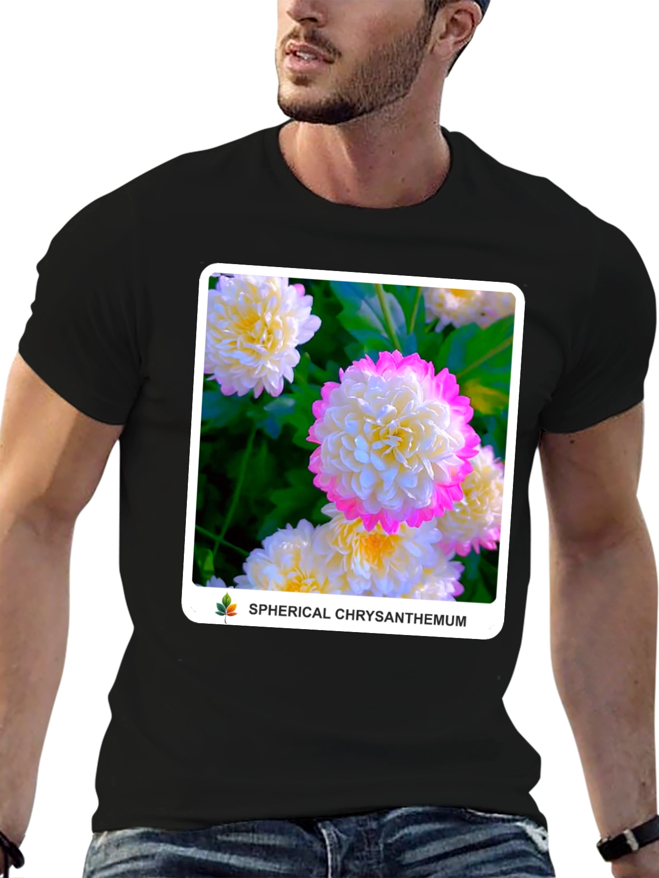 Spherical Chrysanthemum Graphic Tee