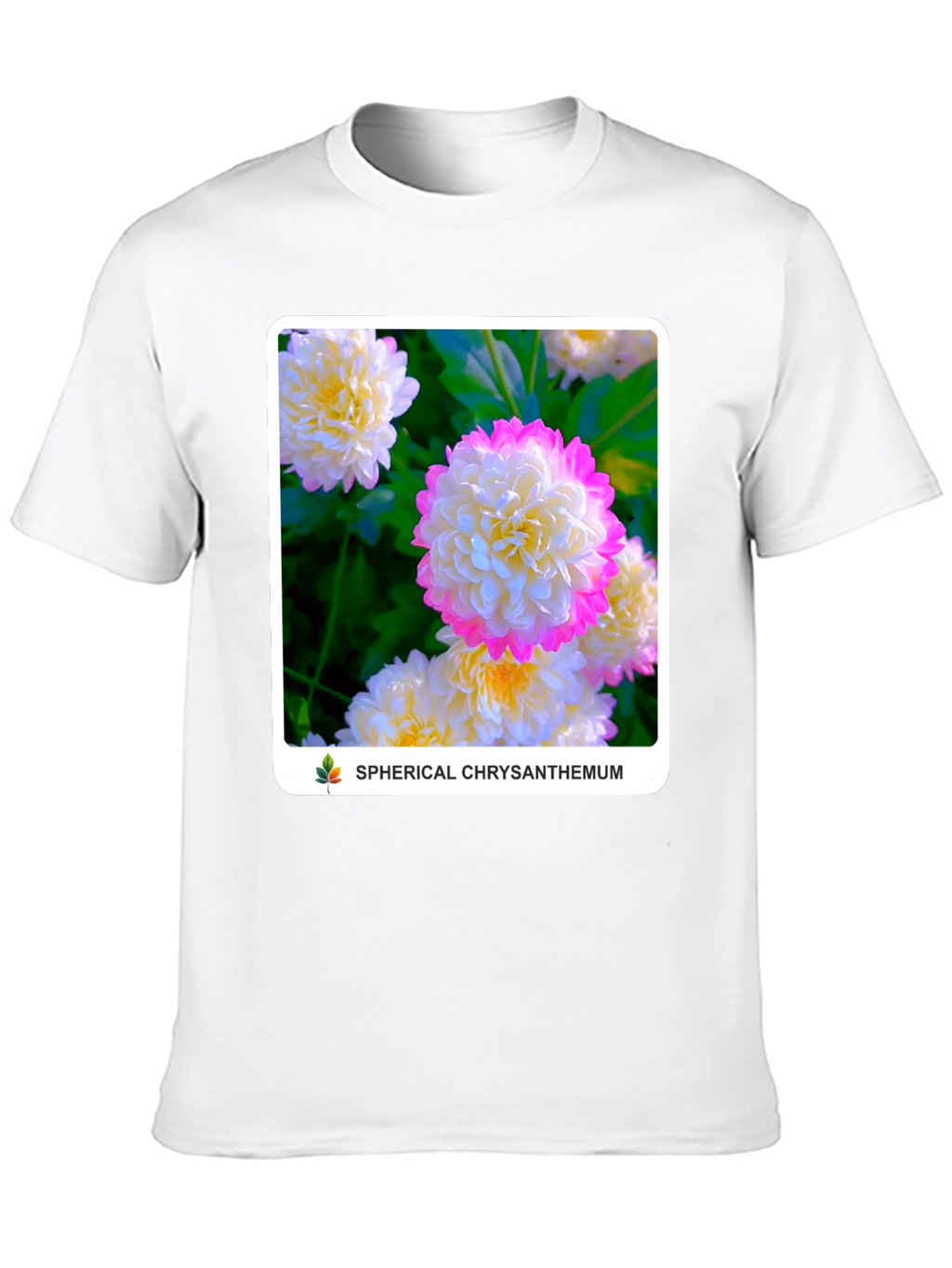 Spherical Chrysanthemum Graphic Tee