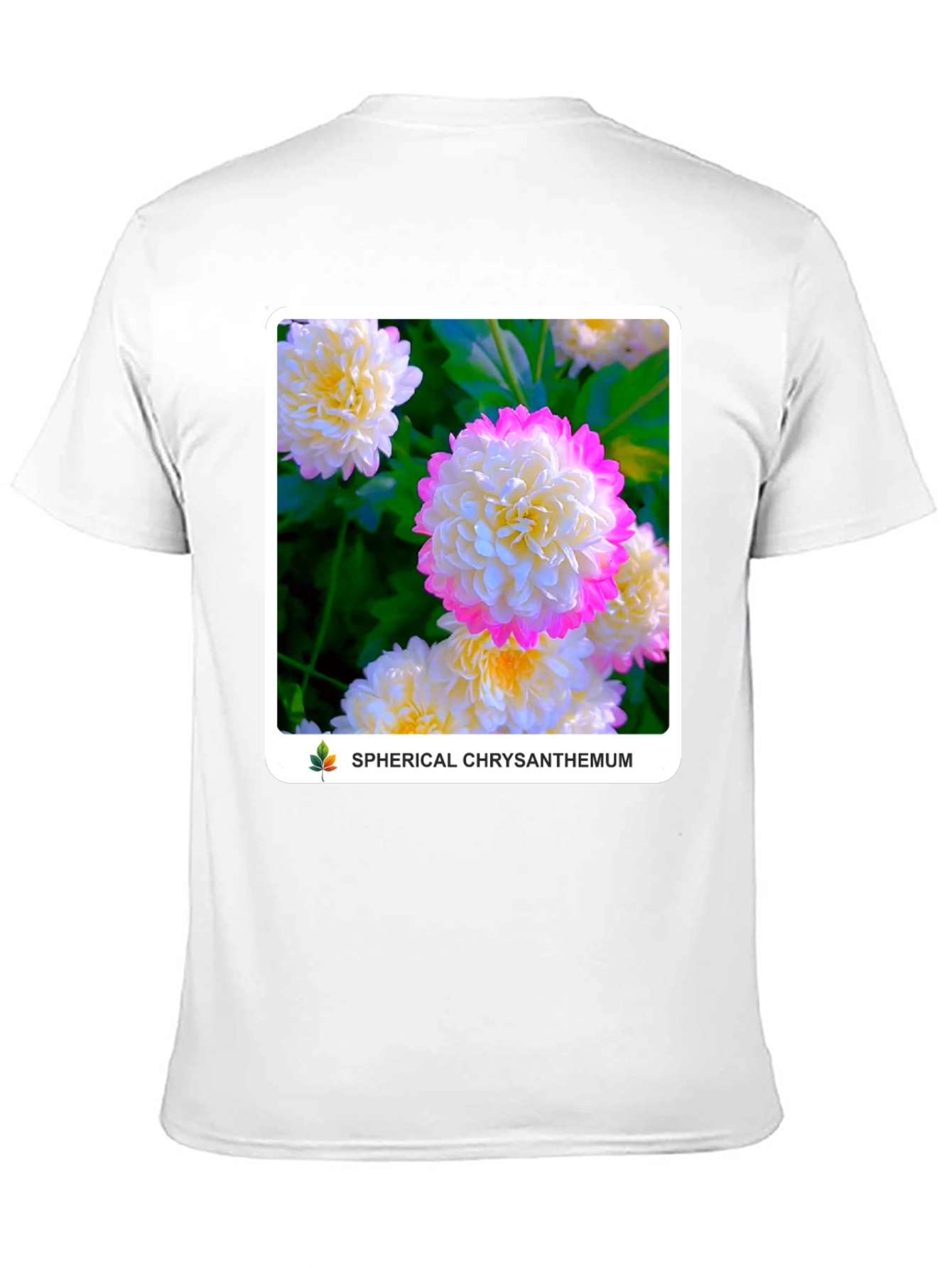 Spherical Chrysanthemum Graphic Tee
