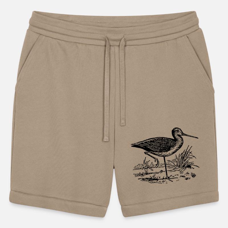 Common Greenshank Standing On One Foot