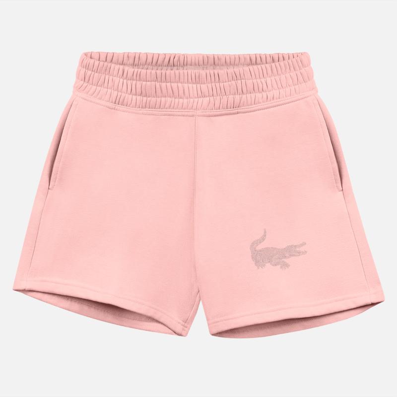 Crocodile - Alligator - Safari Animal - Reptile