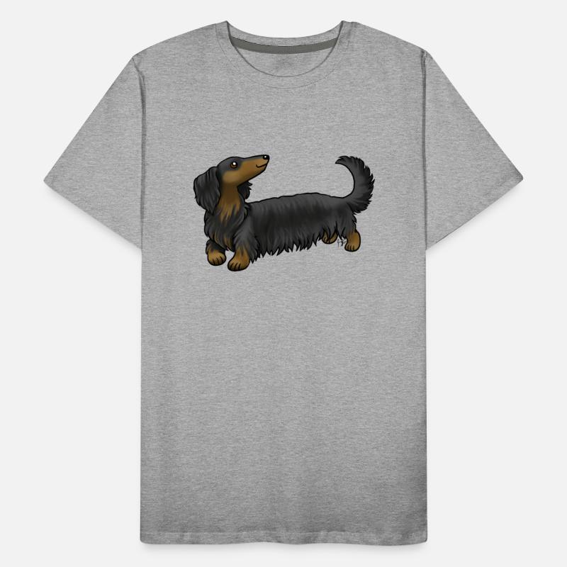 Dog Long Haired Dachshund Black And Tan