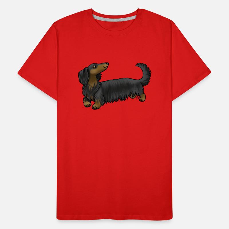 Dog Long Haired Dachshund Black And Tan