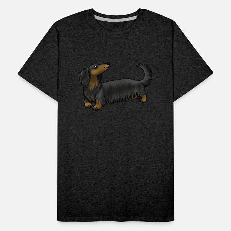 Dog Long Haired Dachshund Black And Tan
