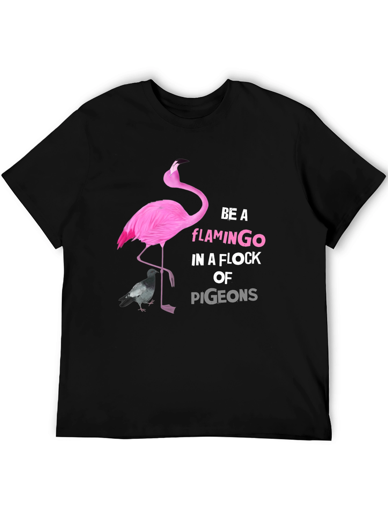 Be A Flamingo Graphic T-Shirt