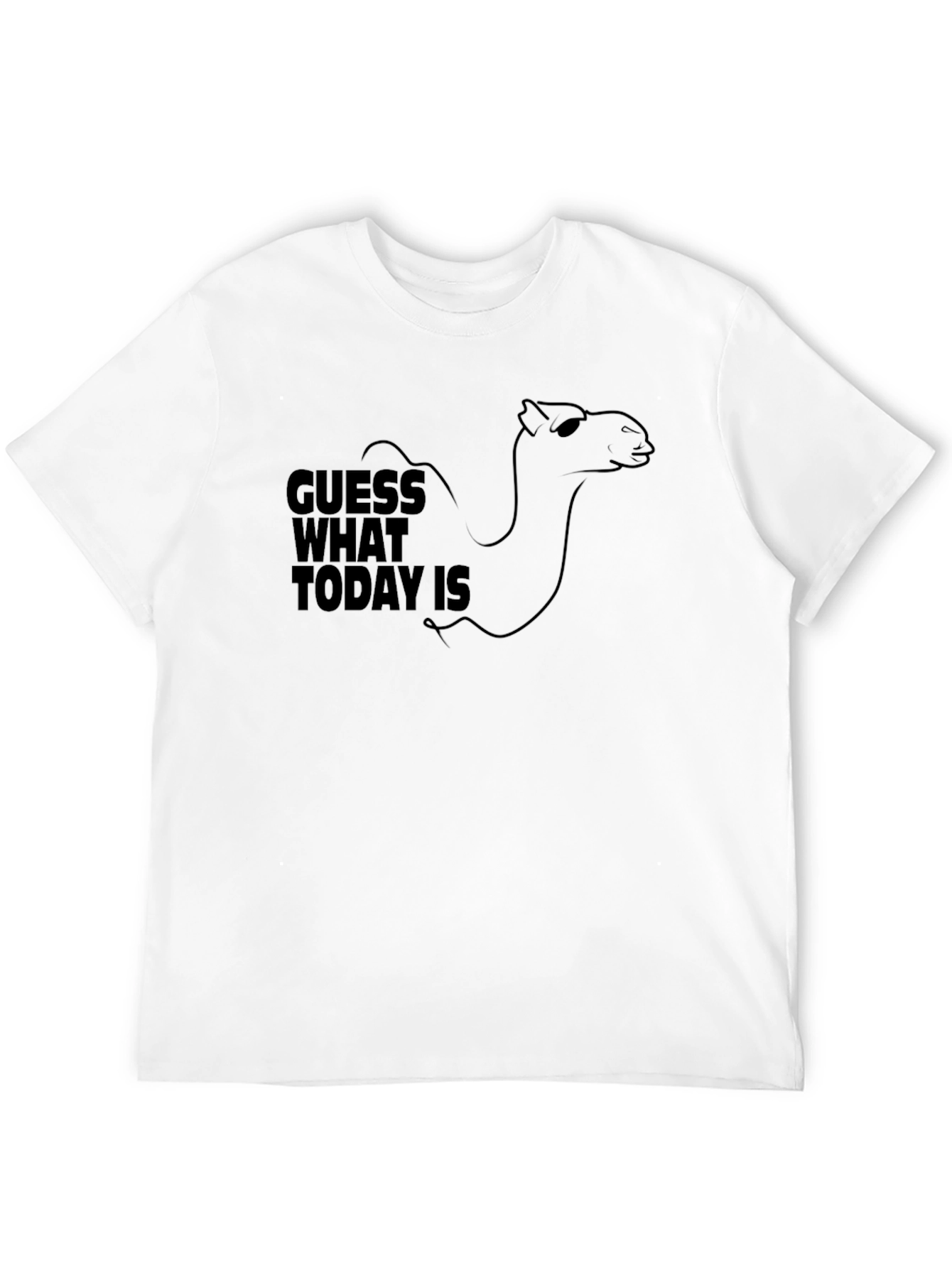 Guess What Today Is? Hump Day Camel T-Shirt