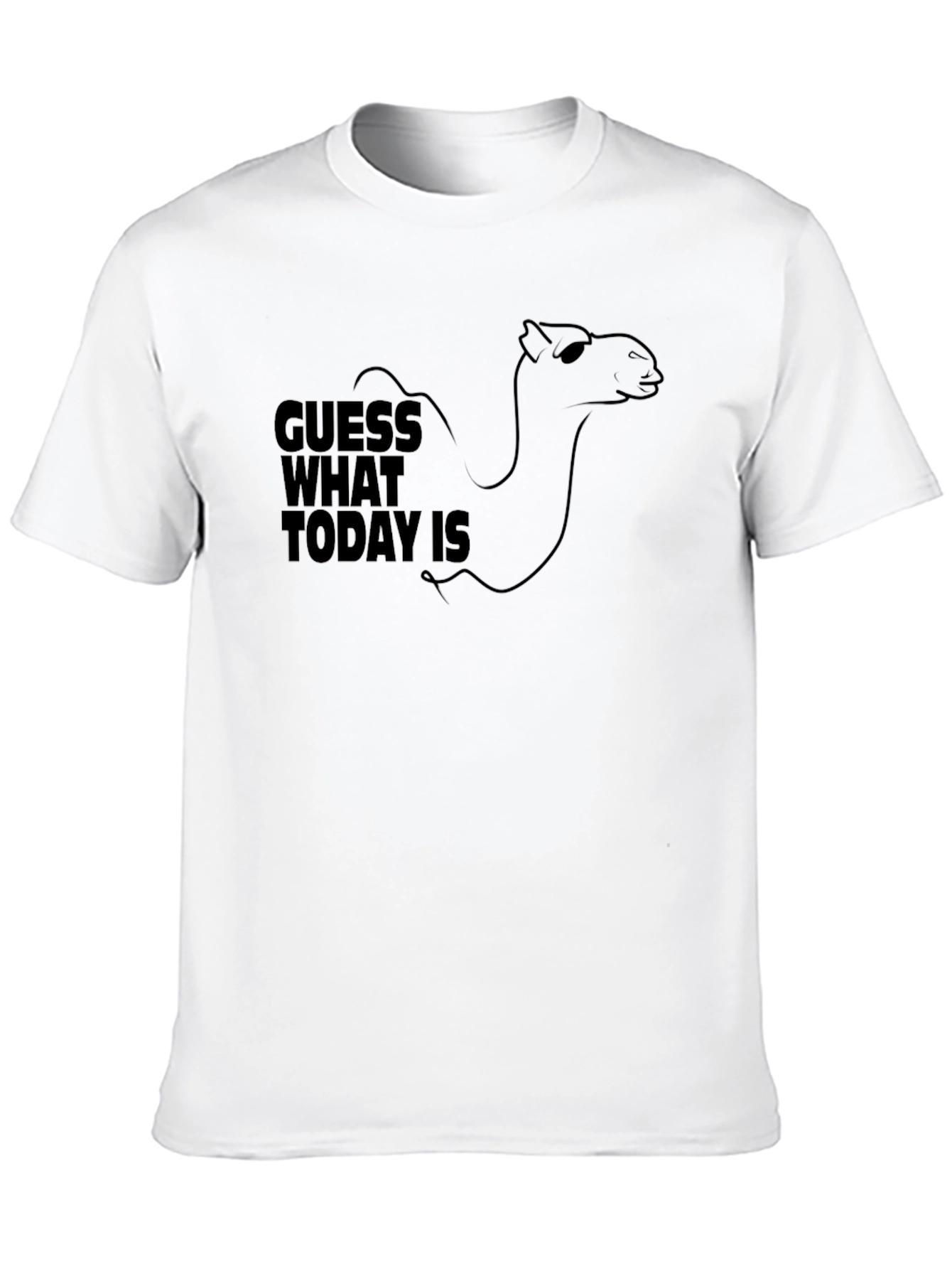 Guess What Today Is? Hump Day Camel T-Shirt