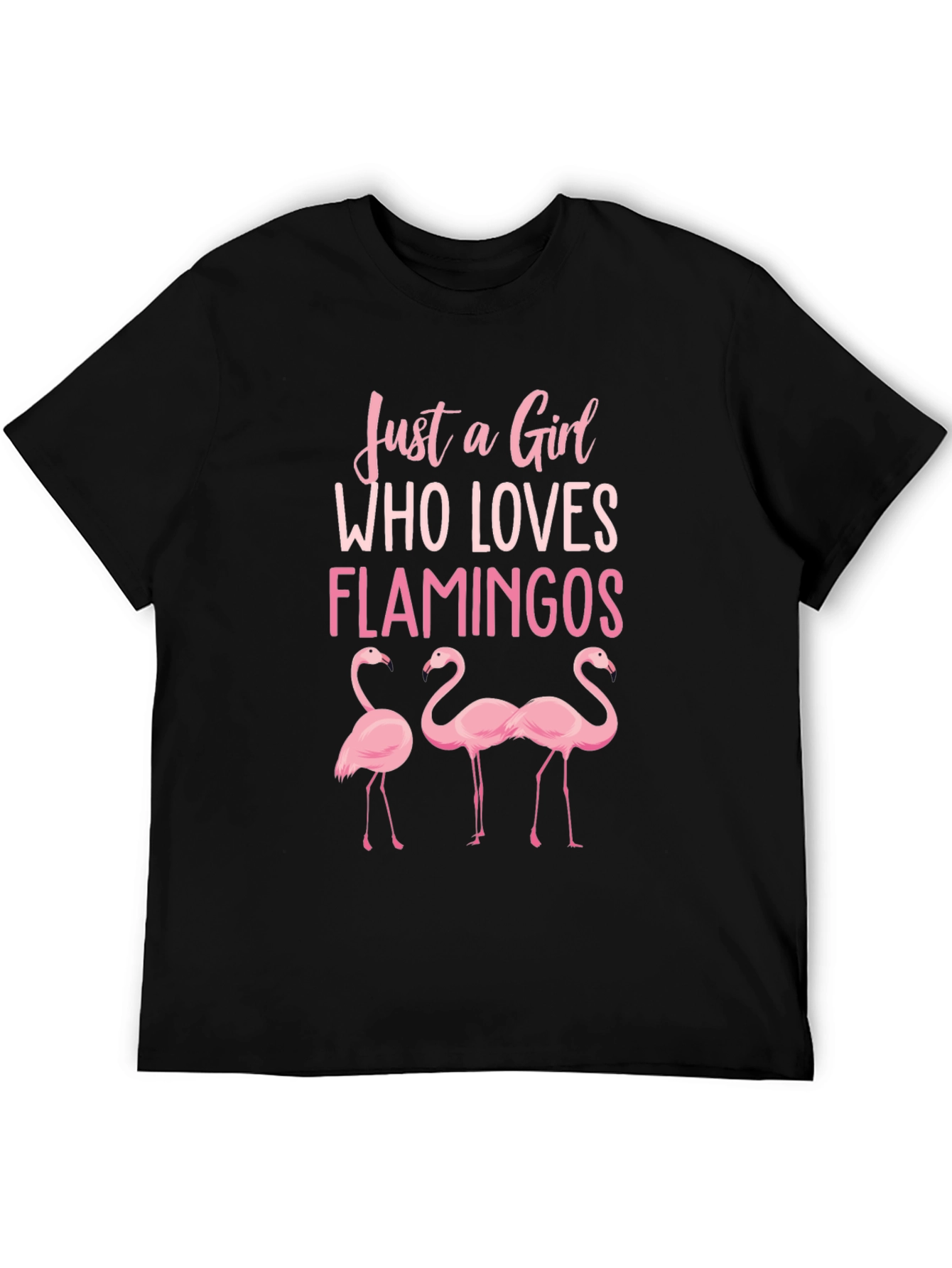 Flamingo Lover T-Shirt - Just a Girl Who Loves Flamingos