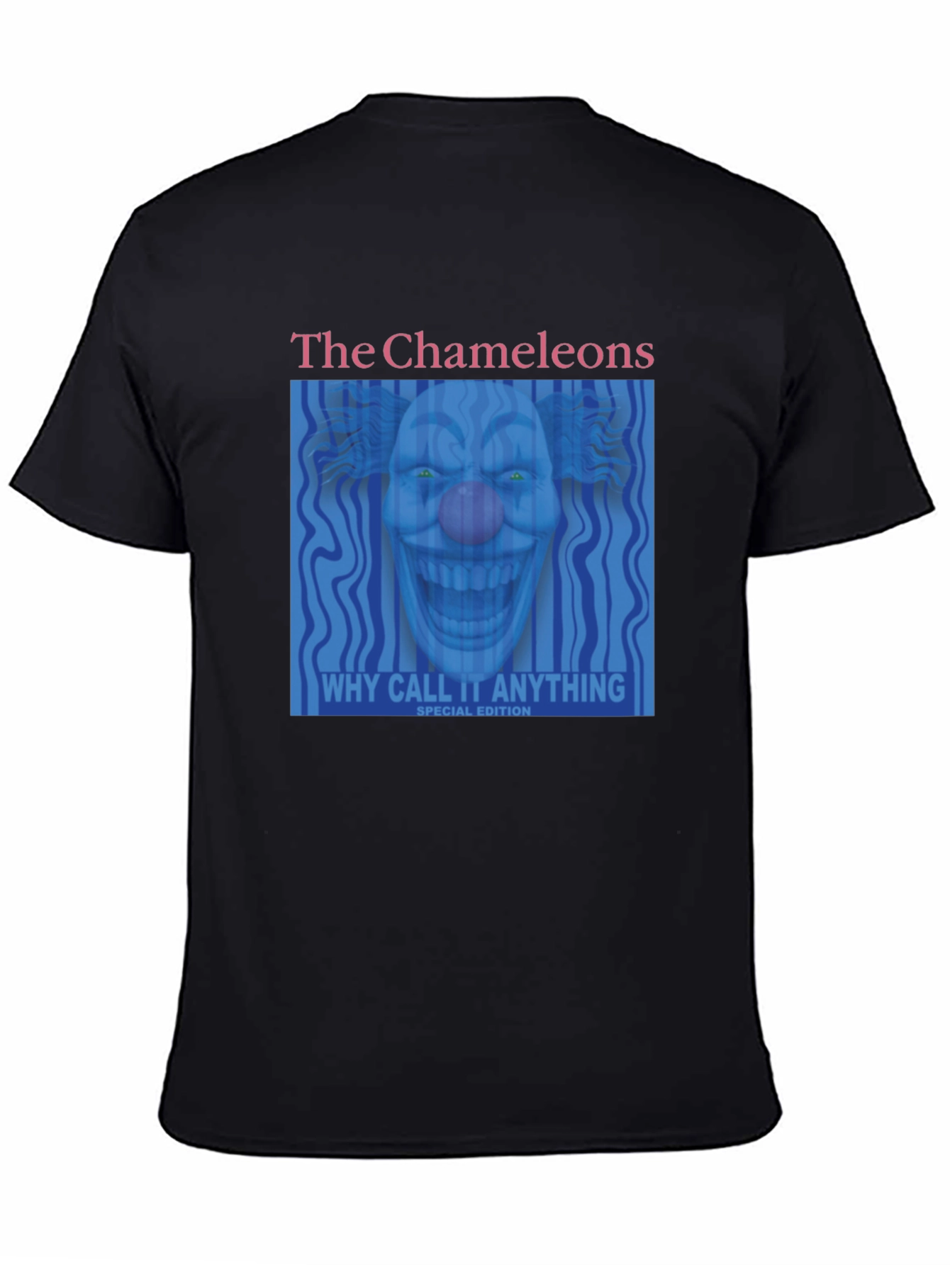The Chameleons Why Call It Anything T-Shirt