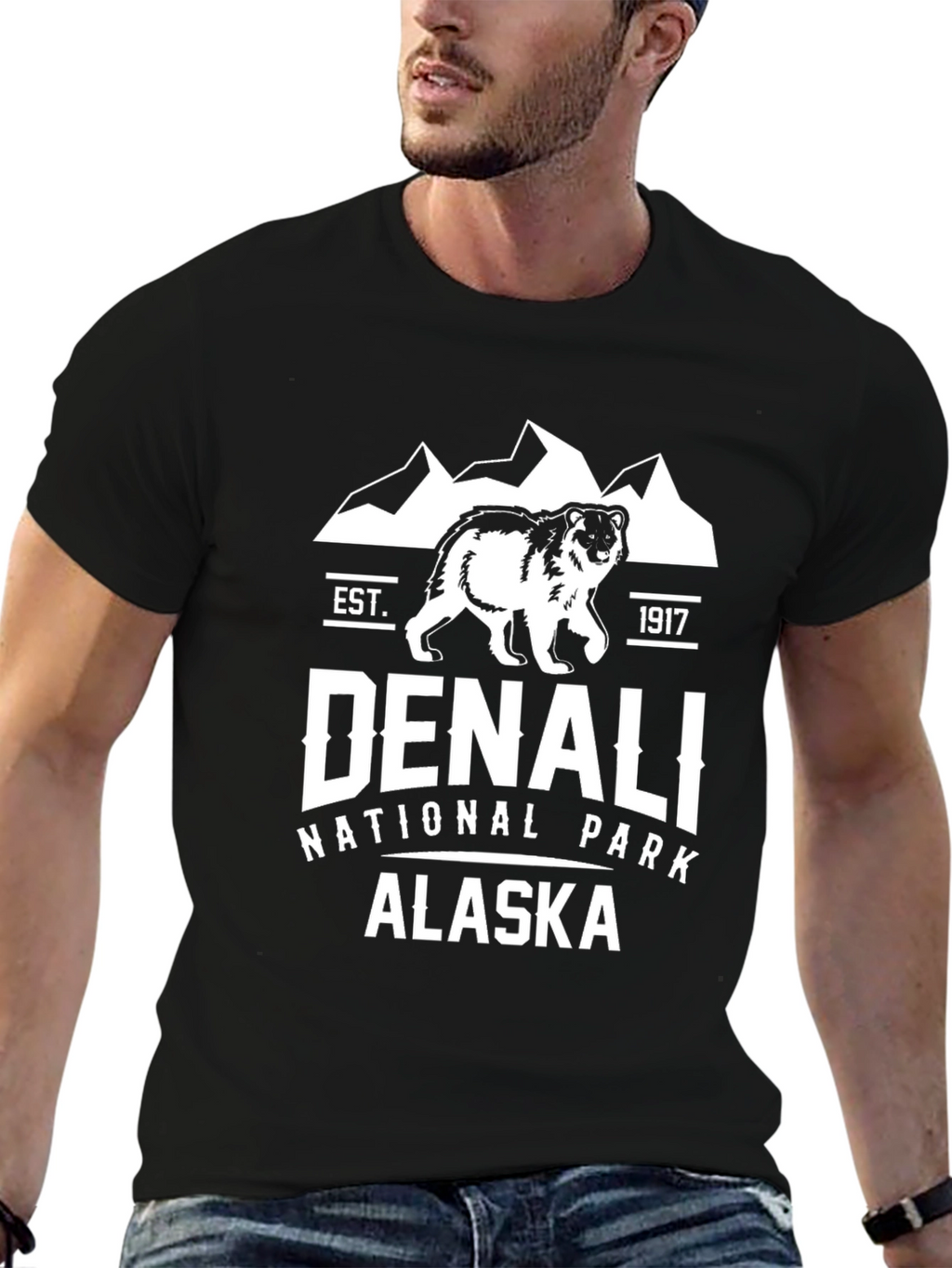 Denali National Park T-Shirt
